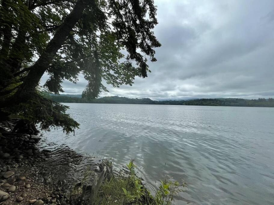 Romantic Cozy Cabin Walk To Lake Hot Tub Bikes Kayaks Grill Onalaska 外观 照片